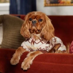 Frisco Fairisle Cozy Plush Fleece Dog & Cat PJs, Cream 16 Frisco Fairisle Cozy Plush Fleece Dog & Cat PJs, Cream -Frisco Shop 719006 PT7. AC SS1800 V1692376367