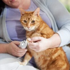 Rechargeable Cordless Cat & Dog 3-Speed Nail Grinder, White 14 Rechargeable Cordless Cat & Dog 3-Speed Nail Grinder, White -Frisco Shop 729774 PT5. AC SS1800 V1683147135