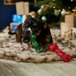 Frisco Holiday Naughty & Nice TPR Bone Squeaky Dog Toy 9 Frisco Holiday Naughty & Nice TPR Bone Squeaky Dog Toy -Frisco Shop 739702 PT3. AC SS1800 V1694812786