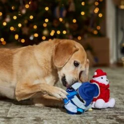 Frisco Holiday Arctic Buddies 2-in-1 Rip For Surprise Plush & Rubber Dog Toy -Frisco Shop 739718 PT3. AC SS1800 V1694812848