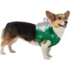 Frisco Ornament Dog & Cat Costume 1 Frisco Ornament Dog & Cat Costume -Frisco Shop 745510 MAIN. AC SS1800 V1694800749