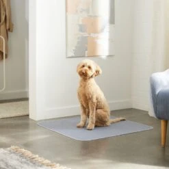 Skout's Honor Dog Pee Pad Refresher Spray, 28-oz Bottle & Frisco Washable Dog Potty Pads -Frisco Shop 772958 PT8. AC SS1800 V1676752183