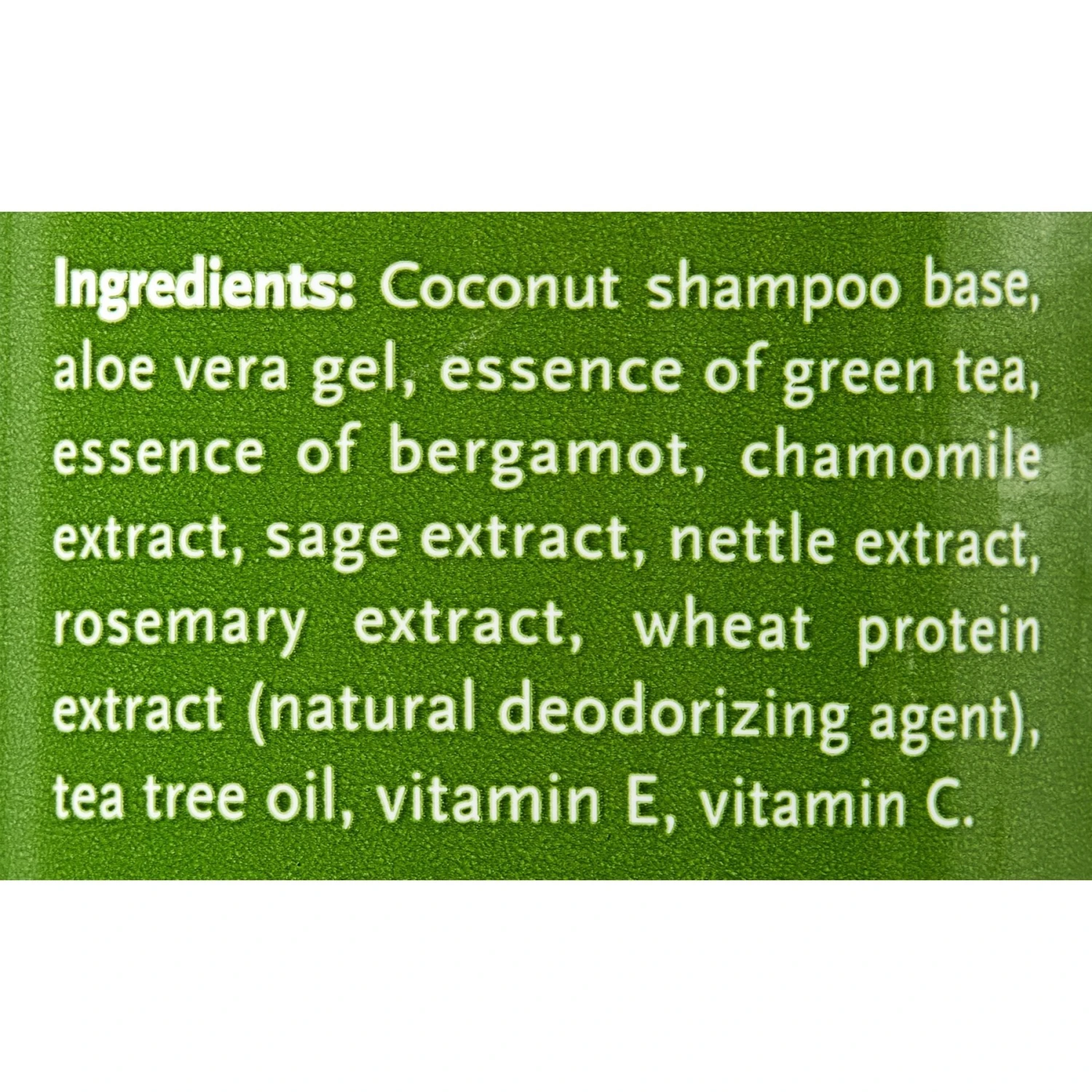 Buddy Wash Relaxing Green Tea & Bergamot Dog Shampoo & Conditioner & Frisco Rubber Duckie Dog & Cat Curry Brush 6 Buddy Wash Relaxing Green Tea & Bergamot Dog Shampoo & Conditioner & Frisco Rubber Duckie Dog & Cat Curry Brush - Image 4
