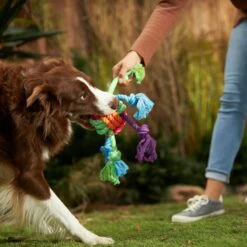 Frisco Fetch Colorful Ball Knot Rope Dog Toy & Frisco Monkey Plush With Rope Squeaky Dog Toy 13 Frisco Fetch Colorful Ball Knot Rope Dog Toy & Frisco Monkey Plush With Rope Squeaky Dog Toy -Frisco Shop 962014 PT2. AC SS1800 V1694784008