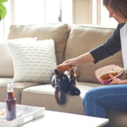 Frisco Corndog Interactive Plush Squeaky Dog Toy & Frisco Guacamole Hide & Seek Puzzle Plush Squeaky Dog Toy 14 Frisco Corndog Interactive Plush Squeaky Dog Toy & Frisco Guacamole Hide & Seek Puzzle Plush Squeaky Dog Toy -Frisco Shop 962086 PT3. AC SS1800 V1694782979