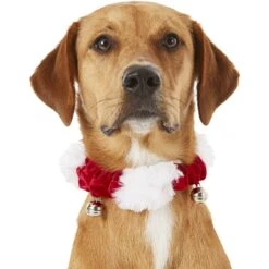 Frisco Holiday Dog & Cat Santa Hat, 1 Count & Frisco Jingle Bells Dog & Cat Holiday Collar With Bells, 1 Count 18 Frisco Holiday Dog & Cat Santa Hat, 1 Count & Frisco Jingle Bells Dog & Cat Holiday Collar With Bells, 1 Count -Frisco Shop 986254 PT7. AC SS1800 V1698258115