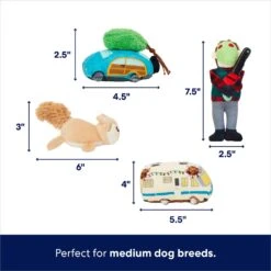 Frisco Holiday House Hide & Seek Puzzle Plush Squeaky Dog Toy & Frisco Holiday North Pole Mailbox Hide & Seek Puzzle Plush Squeaky Dog Toy -Frisco Shop 986286 PT3. AC SS1800 V1698257799