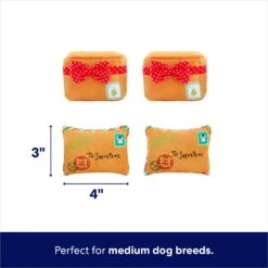 Frisco Holiday House Hide & Seek Puzzle Plush Squeaky Dog Toy & Frisco Holiday North Pole Mailbox Hide & Seek Puzzle Plush Squeaky Dog Toy -Frisco Shop 986286 PT7. AC SS1800 V1698258056